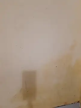 sexy_shital Live Chatraum