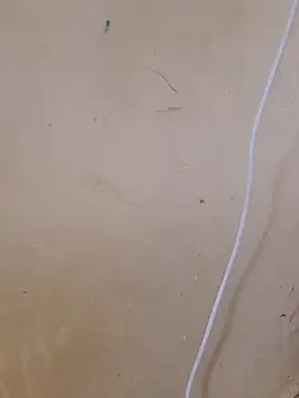 Živá chatovací místnost sexy_shital