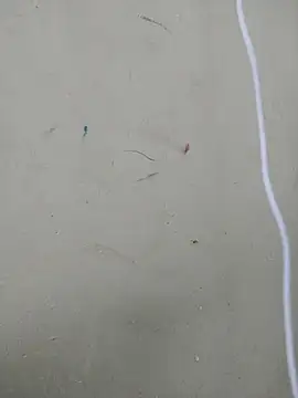 Phòng Chat Trực Tiếp sexy_shital