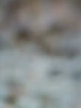 Bilik Sembang Langsung Shreya_pandit