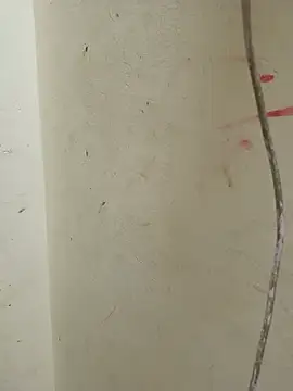 Cute_Kavya7 Adlı Modelin Canlı Sohbet Odası