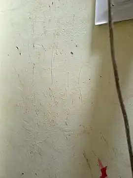 Cute_Kavya7 실시간 채팅방