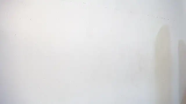 sweettmegan чат на живо