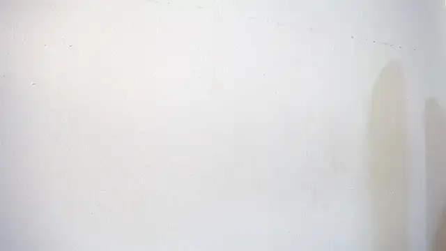 sweettmegan Live Chatrum