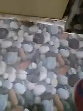 Hydcupl26 Ruang Obrolan Langsung