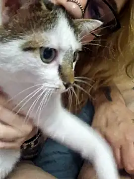 Živá chatovací místnost whatevaandissues