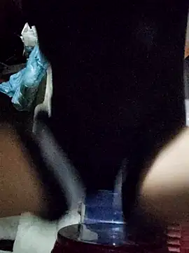 Congee-666 Live Chatraum
