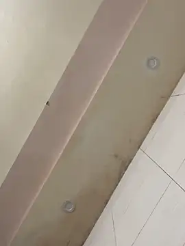 Liness101 Cameră chat live