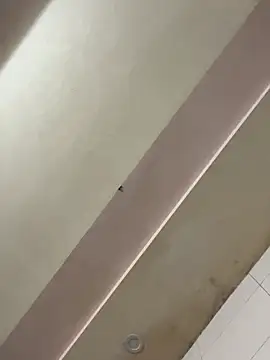 Liness101 실시간 채팅방