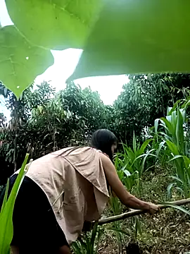 xiaogoal Live Chatraum