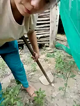 vanvan005 Live Chatraum