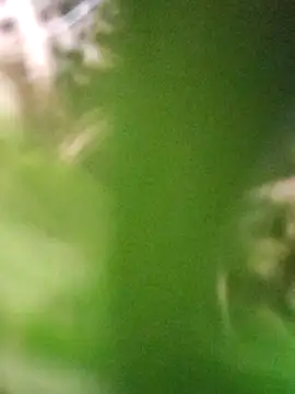 Pokój czatu na żywo – shenna_brunette
