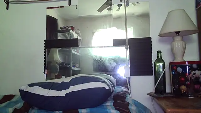 ห้องแชทสดของ AcademicHuman67