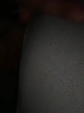Bilik Sembang Langsung Gassybb