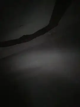 momo_loves Cameră chat live