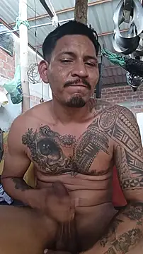 cielo420 Live Chatraum