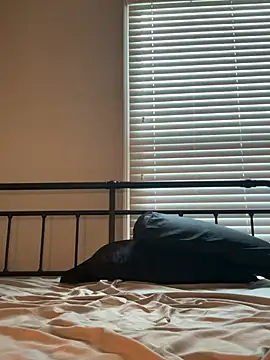 sophia_x777 실시간 채팅방