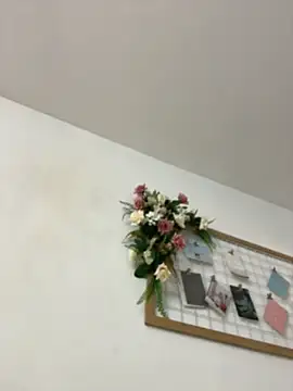 IvonneOwen – live chatrum