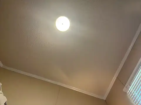 MegaTinyyy লাইভ চ্যাট রুম