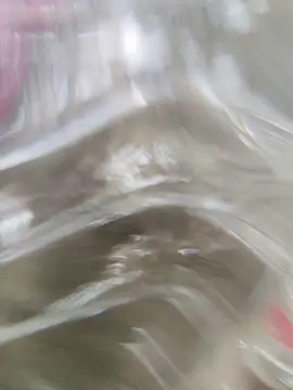 Chat ao vivo de leona118