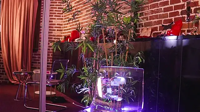 FancyMaya чат на живо