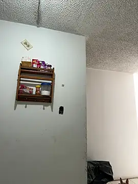kittymiauu444 现场聊天室