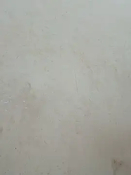 Chat ao vivo de Lylan-6868