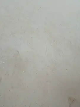 Lylan-6868 Cameră chat live