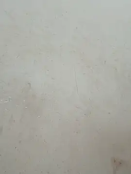 Živá chatovací místnost Lylan-6868