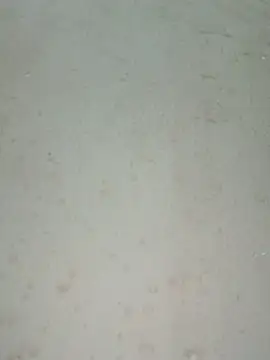 Chat ao vivo de Lylan-6868