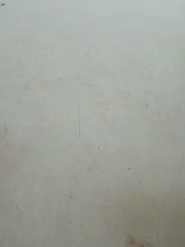 Lylan-6868 Live Chatraum