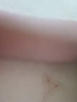 Lylan-6868 Live Chatraum