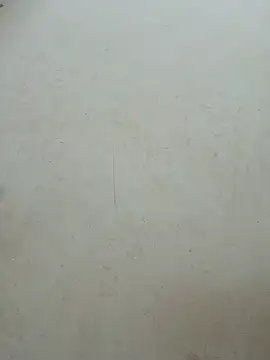 Baoduyen456789 Live Chatraum