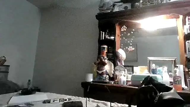 Živá chatovací místnost MinnieSnow