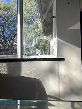 NaughtyShawdy Live Chatrum