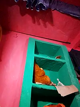 Jyoti_rathor Cameră chat live