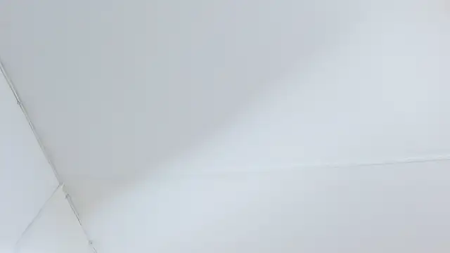 Brenda_Karter Adlı Modelin Canlı Sohbet Odası