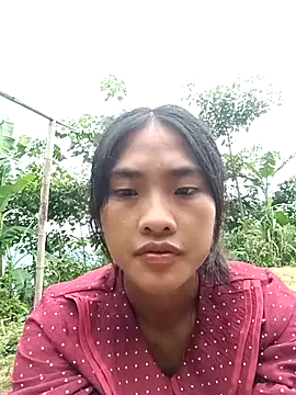 Hoa-tuylip Cameră chat live
