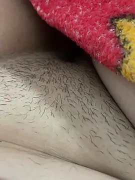 teubrinquedinho чат на живо