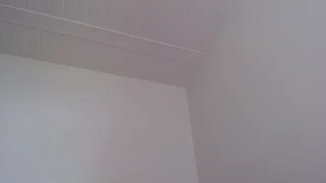 Sala de chat en directo de ElizabethMiler