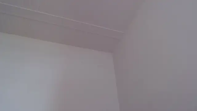 Živá chatovací místnost ElizabethMiler
