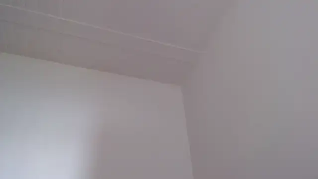 Chat ao vivo de ElizabethMiler