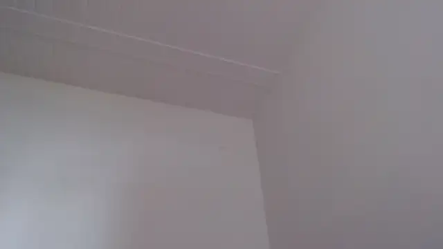 ElizabethMiler чат на живо