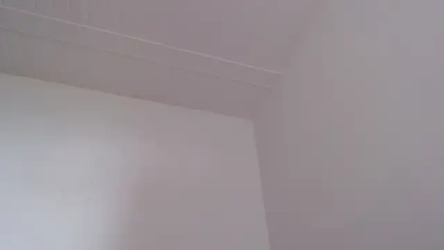ElizabethMiler Cameră chat live