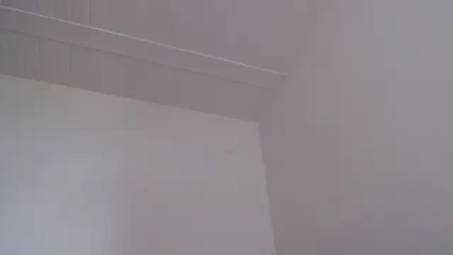 ElizabethMiler 실시간 채팅방