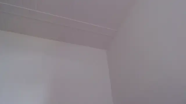 ElizabethMiler 실시간 채팅방