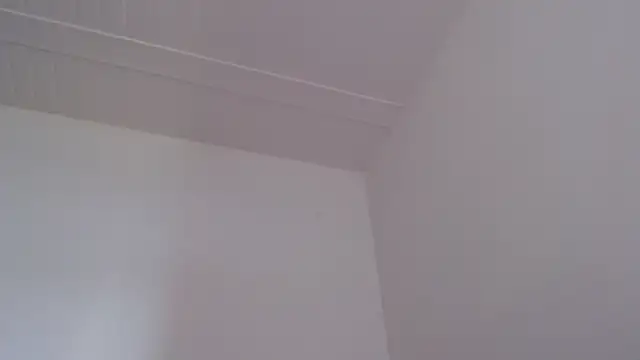 ElizabethMiler 실시간 채팅방