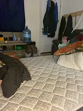 Chat ao vivo de arsegeau