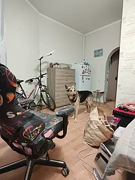 Živá chatovací místnost Elina-Bondi