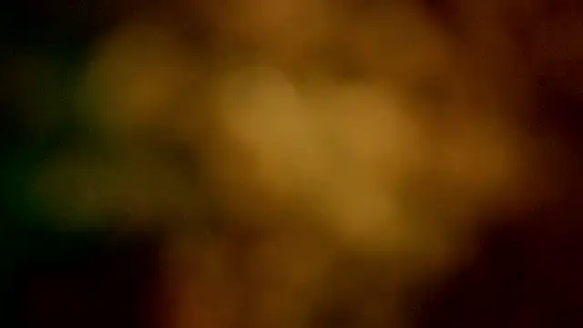 barbara_leython Live Chatraum